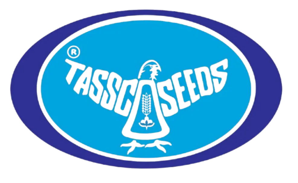 Company logo (light)